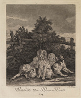 KG 01073
          <br/>
          Entwurf einiger Thiere. Erster Theil. (18 bladen)
          <br/>
          <em>Ridinger, Johann Elias (1698-1767)</em>